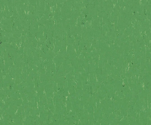 3647 nettle green